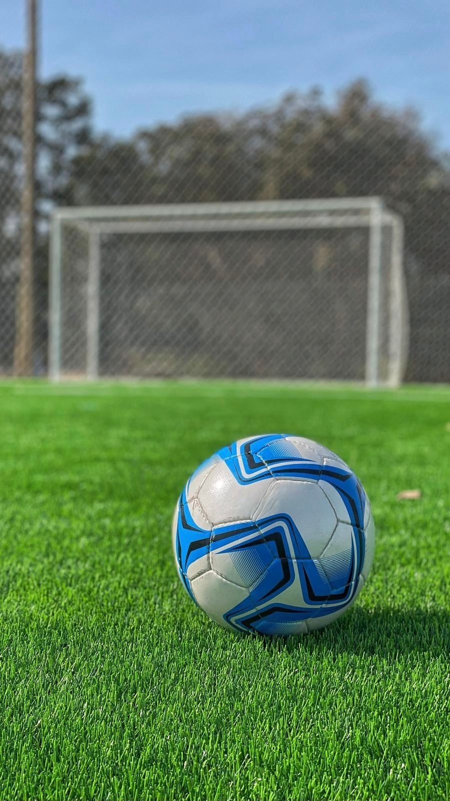 Pelota sobre el césped de la cancha